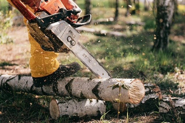 Kesalahan Umum Operator Chainsaw Pemula
